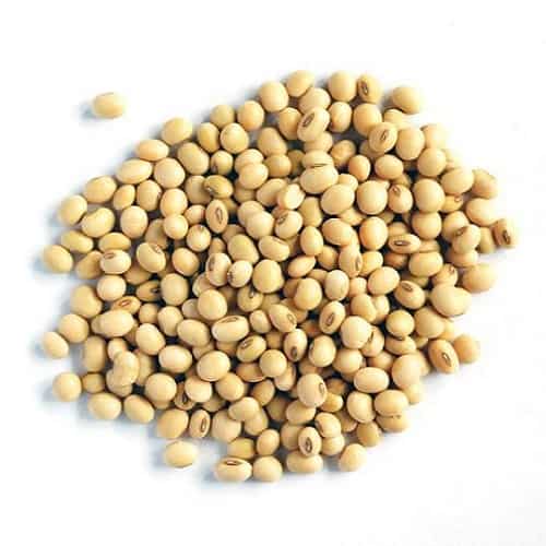 Soybeans