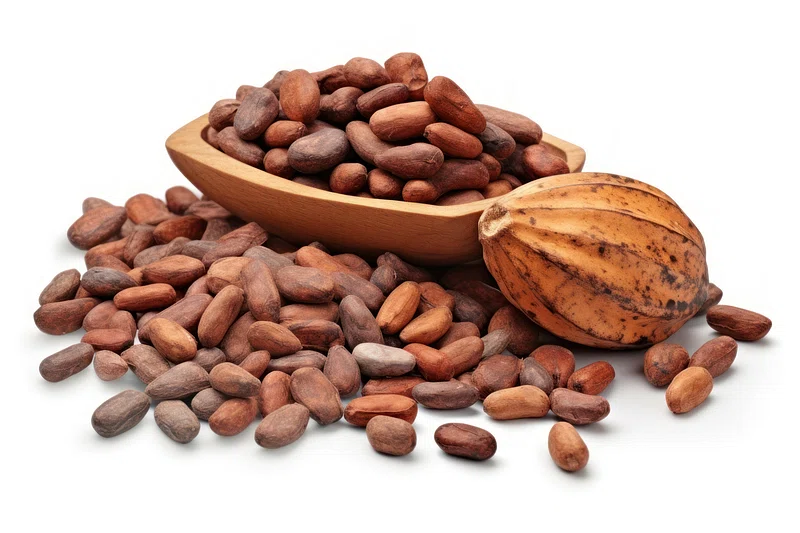 Standard Quality Cocoa Beans