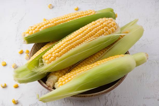 Maize