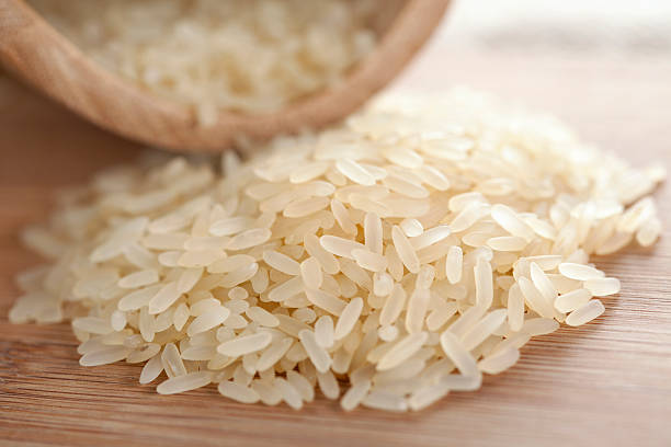 Rice